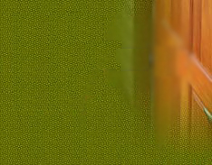 �q�E���H�M��